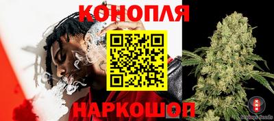прущая мука Дубна