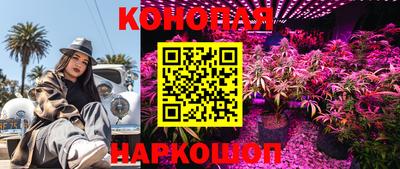 крисы Донецк