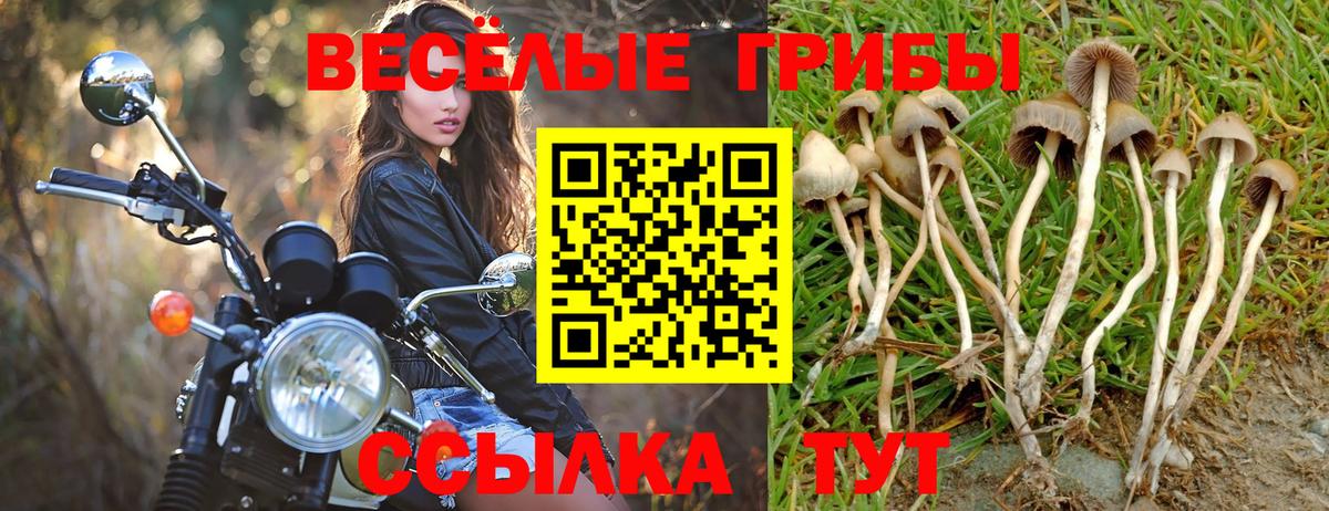 Псилоцибиновые грибы ЛСД  Псилоцибиновые грибы GOLDEN TEACHER  Михайловск  Вход с VPN 